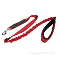 Nylon Pet Dog Bungee Leash con gancio a scatto